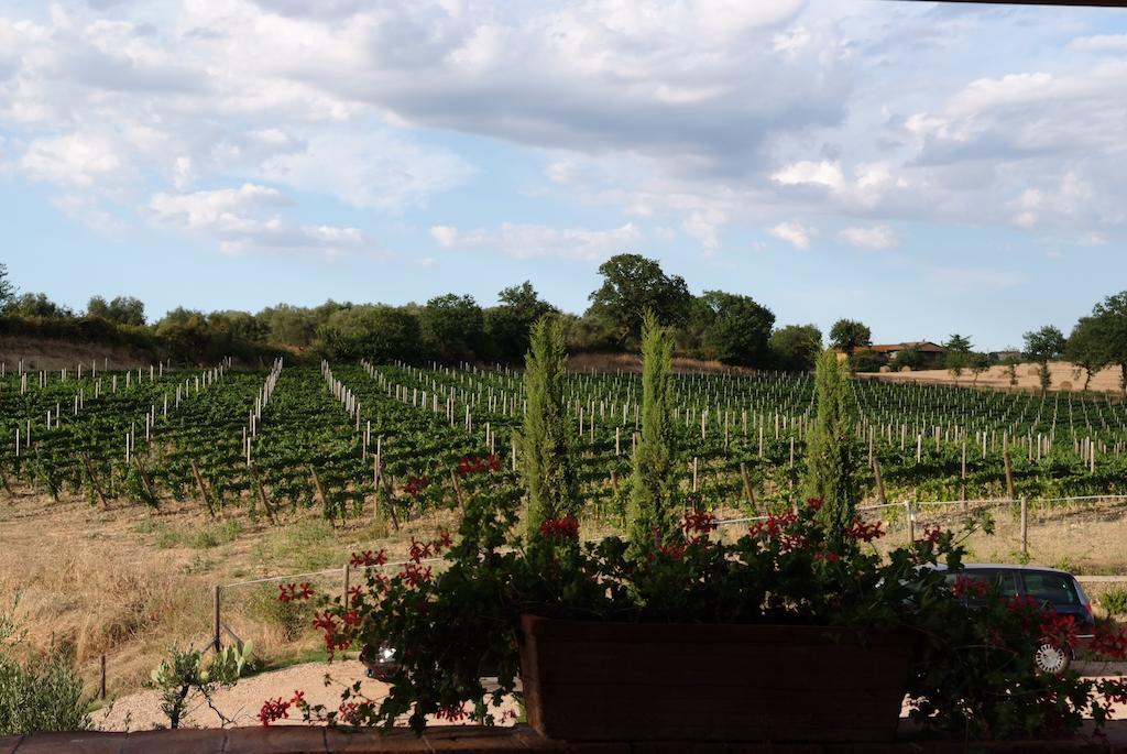 Podere Fingardella Guest House Паганико Екстериор снимка